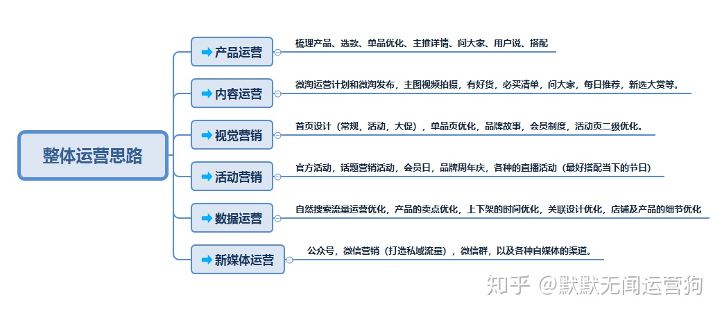 电商运营 天猫淘宝整体运营思路，把握全局，赢在未来